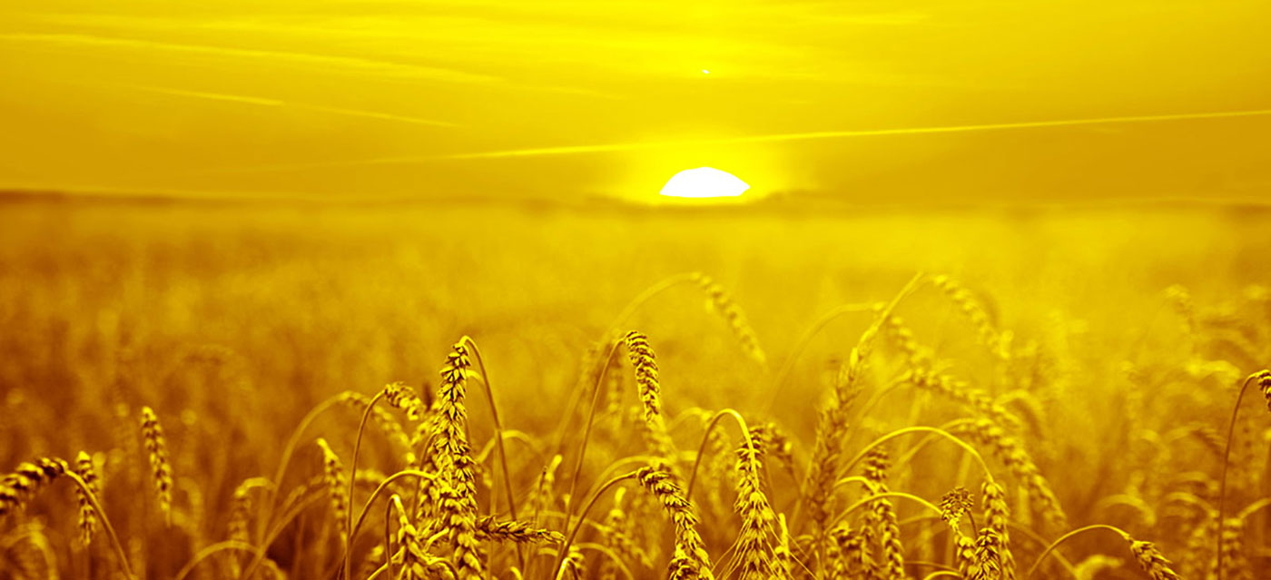 Volimo da nudimo rješenja u boji